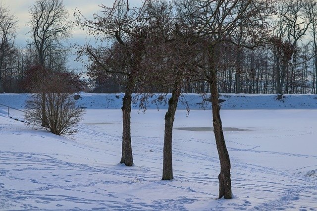 ดาวน์โหลดฟรี Wintry Lakeside Frozen - ภาพถ่ายหรือรูปภาพฟรีที่จะแก้ไขด้วยโปรแกรมแก้ไขรูปภาพออนไลน์ GIMP