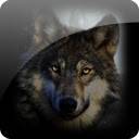 Wolves  screen for extension Chrome web store in OffiDocs Chromium