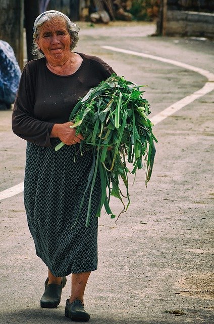 Free download woman vegetables street photography free picture to be edited with GIMP free online image editor