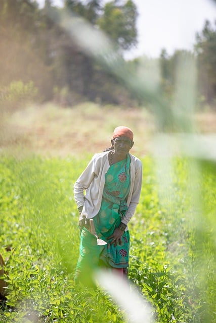 Téléchargement gratuit d'une image gratuite d'une ouvrière agricultrice dans un champ à modifier avec l'éditeur d'images en ligne gratuit GIMP