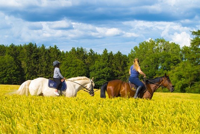 Free download women on horseback wheat landscape free picture to be edited with GIMP free online image editor