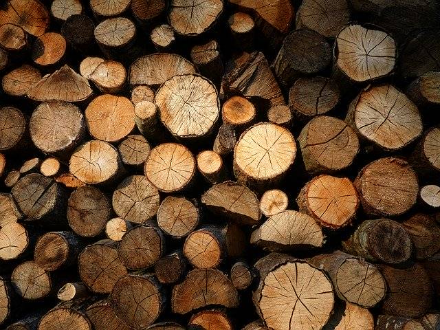 Unduh gratis Wood Logs Lumbering - foto atau gambar gratis untuk diedit dengan editor gambar online GIMP