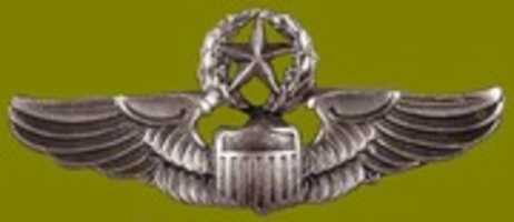 Free download World War Two Winged Badges of the United States Army free photo or picture to be edited with GIMP online image editor