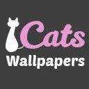 صفحه نمایش Cats Wallpapers برای افزونه فروشگاه وب Chrome در OffiDocs Chromium