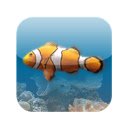 หน้าจอ Interactive Fish Aquarium สำหรับส่วนขยาย Chrome เว็บสโตร์ใน OffiDocs Chromium