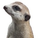 OffiDocs Chromium の拡張機能 Chrome Web ストアの Marvelous Manouvering Meerkat 画面