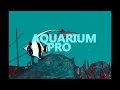 AQUARIUM PRO (нова вкладка) із веб-магазину Chrome для запуску з OffiDocs Chromium онлайн