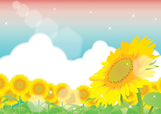 Descarga gratuita de la ilustración gratuita de Sunflower Field Background para editar con el editor de imágenes en línea GIMP