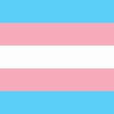 Trans Flag-Bildschirm für die Erweiterung des Chrome-Webshops in OffiDocs Chromium