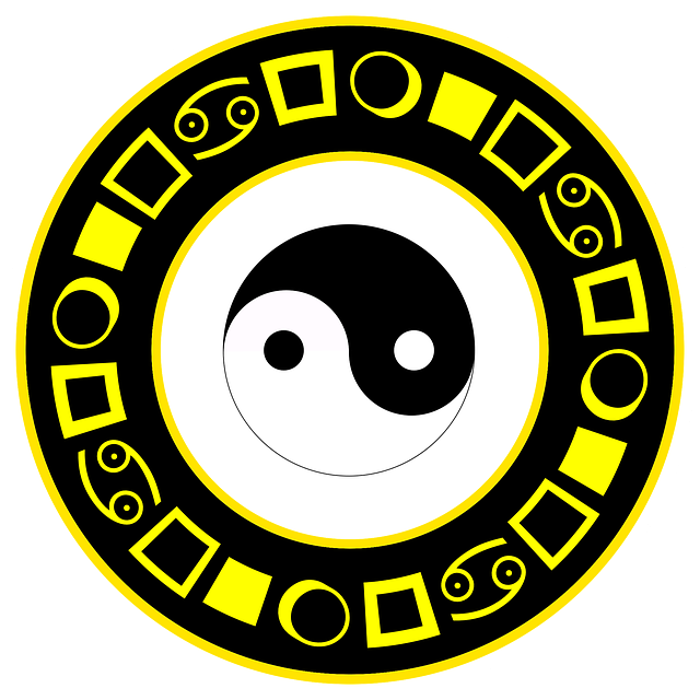 Kostenloser Download Yin Yang Logo Shirt - kostenlose Illustration, die mit dem kostenlosen Online-Bildeditor GIMP bearbeitet werden kann