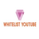 Youtube White Lister  screen for extension Chrome web store in OffiDocs Chromium