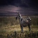 Zebra Theme  screen for extension Chrome web store in OffiDocs Chromium