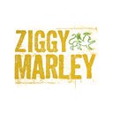 Ziggy Marley Theme  screen for extension Chrome web store in OffiDocs Chromium