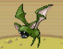 Free download ZUBAT SHINY free photo or picture to be edited with GIMP online image editor