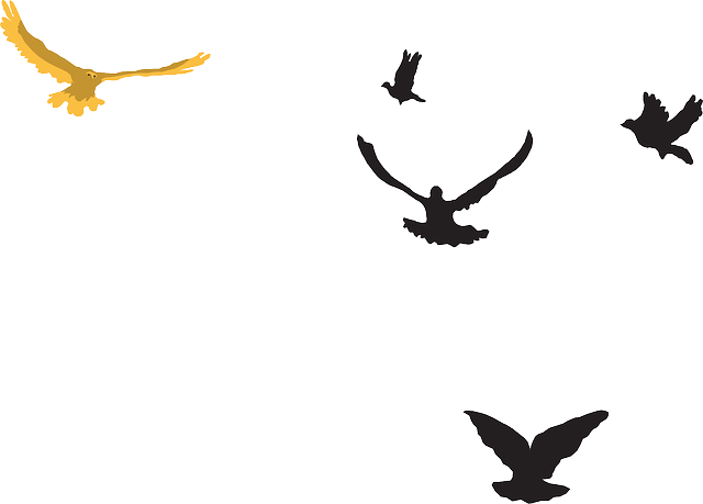 Free download Yellow Black Birds - Free vector graphic on Pixabay free illustration to be edited with GIMP free online image editor