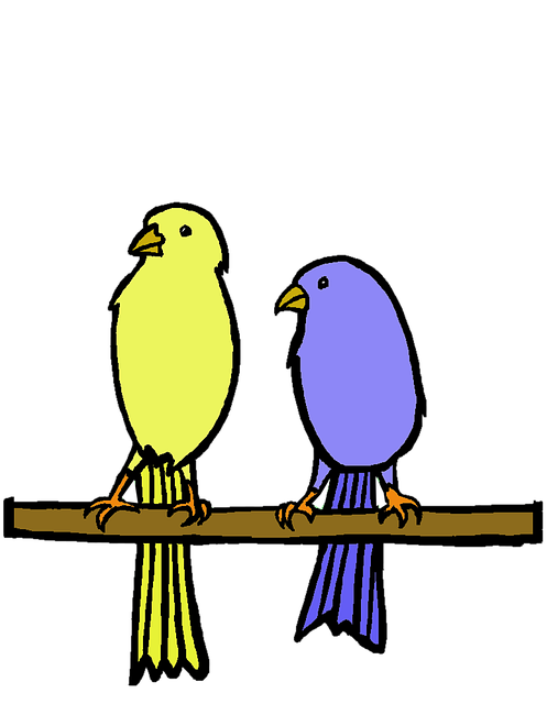 Free download Yellow Blue Bird Birds -  free illustration to be edited with GIMP free online image editor