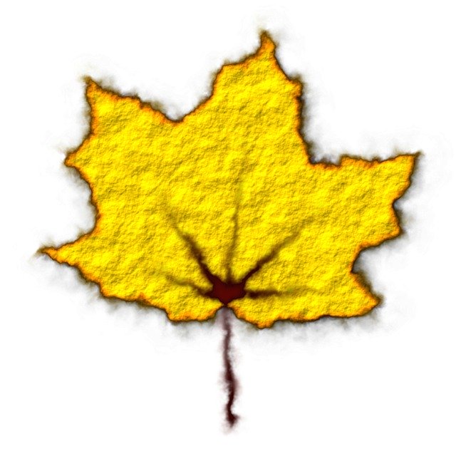 Free download Yellow Leaf Fall Autumn -  free illustration to be edited with GIMP free online image editor