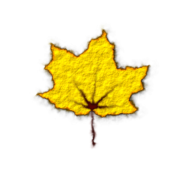 Free download Yellow Maple Leaf - Free vector graphic on Pixabay free illustration to be edited with GIMP free online image editor