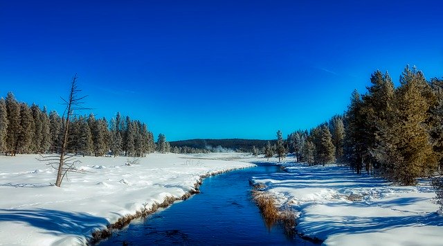 Free download Yellowstone National Park Wyoming -  free photo or picture to be edited with GIMP online image editor