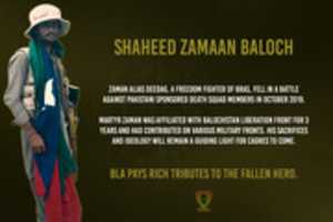 Free download Zaman Baloch free photo or picture to be edited with GIMP online image editor