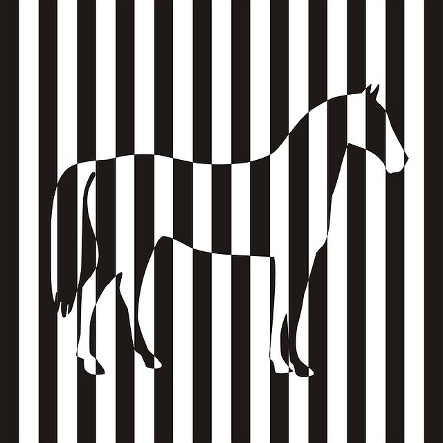 Free download Zebra The Horse Vector -  free illustration to be edited with GIMP free online image editor