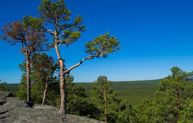 Free download Zerenda Kazakhstan Village -  free photo or picture to be edited with GIMP online image editor