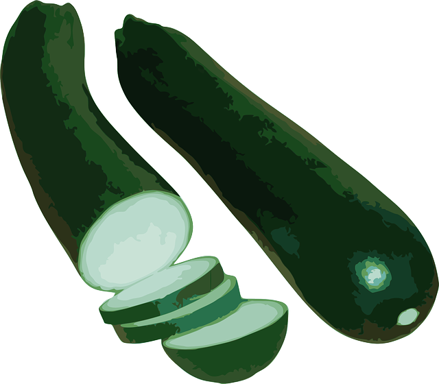 Free download Zucchini Squash Vegetable - Free vector graphic on Pixabay free illustration to be edited with GIMP free online image editor