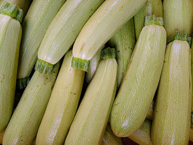 Free download zucchini vegetables food garden free picture to be edited with GIMP free online image editor