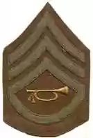 Free download 1902 United States Army Service School Detachment Chevrons free photo or picture to be edited with GIMP online image editor