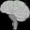 뇌 대뇌 뇌간 · Pixabay의 무료 벡터 그래픽