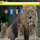 Africa LioN Theme מסך להרחבה של חנות האינטרנט של Chrome ב-OffiDocs Chromium