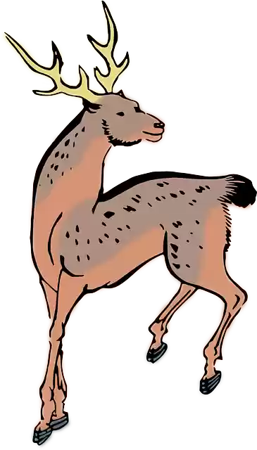 Free download Animal Deer - Free vector graphic on Pixabay free illustration to be edited with GIMP free online image editor