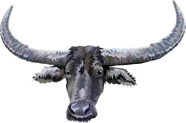 Libreng download Animal Head Buffalo - Libreng vector graphic sa Pixabay libreng ilustrasyon na ie-edit gamit ang GIMP libreng online na image editor