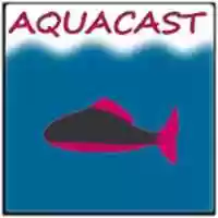 ດາວໂຫຼດຟຣີ aquacastlogo ຮູບພາບຫຼືຮູບພາບທີ່ບໍ່ເສຍຄ່າເພື່ອແກ້ໄຂດ້ວຍບັນນາທິການຮູບພາບອອນໄລນ໌ GIMP