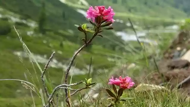 Безкоштовно завантажте Austria Landscape Nature - безкоштовну фотографію чи зображення для редагування за допомогою онлайн-редактора зображень GIMP