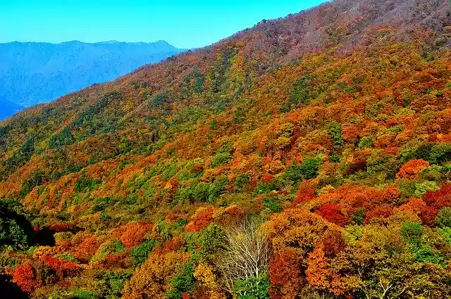 가을 단풍 산 무료 다운로드 - 무료 사진 또는 김프 온라인 이미지 편집기로 편집할 사진