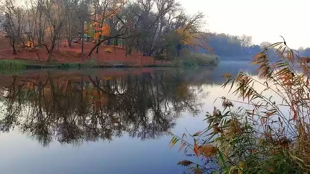 Free download Autumn Morning Landscape -  free free photo or picture to be edited with GIMP online image editor