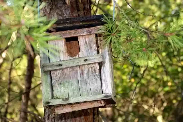 Free download Aviary Incubator Nesting Box -  free photo or picture to be edited with GIMP online image editor