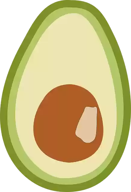 ດາວໂຫຼດຟຣີ Avocado Fruit Vegetables SouthFree graphic vector on Pixabay free illustration to be edited with GIMP online image editor