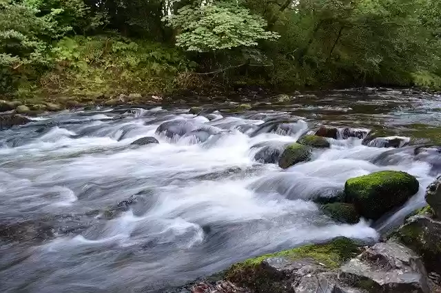 ດາວໂຫລດຟຣີ Bach Water Nature ແມ່ແບບຮູບພາບທີ່ບໍ່ເສຍຄ່າເພື່ອແກ້ໄຂດ້ວຍຕົວແກ້ໄຂຮູບພາບອອນໄລນ໌ GIMP