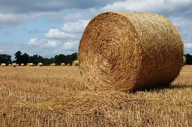 Free download Bales Of Hay Field Agriculture -  free photo or picture to be edited with GIMP online image editor