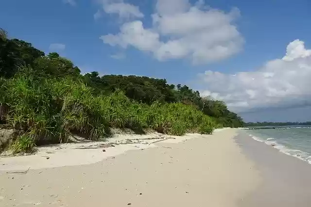 Free download Beach Bay Vegetation free photo template to be edited with GIMP online image editor