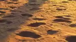 Free download Beach Sand Sunset free video to be edited with OpenShot online video editor