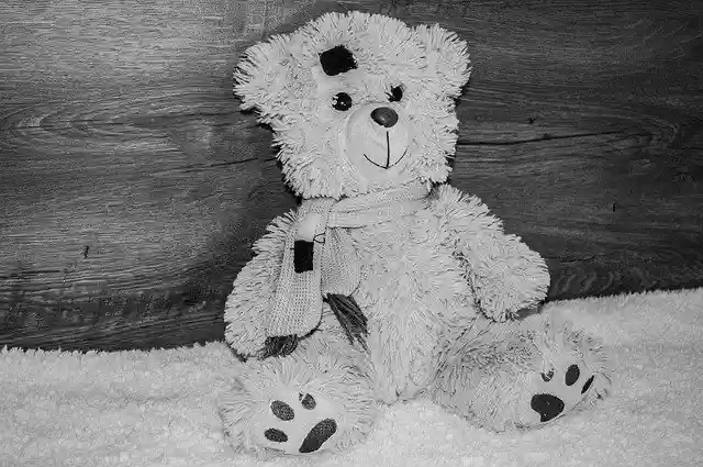 Free download Bear Teddy Cute -  free photo or picture to be edited with GIMP online image editor