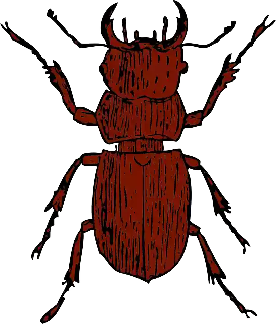 Téléchargement gratuit Scarabée Bug Insecte - Images vectorielles gratuites sur Pixabay illustration gratuite à modifier avec GIMP éditeur d'images en ligne gratuit