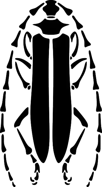 Free download Beetle Longhorn Pattern - Free vector graphic on Pixabay free illustration to be edited with GIMP free online image editor