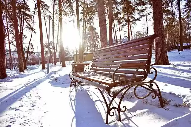 Free download Bench Morning Winter -  free photo or picture to be edited with GIMP online image editor