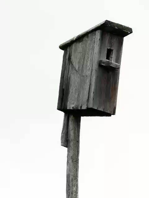 Free download Birdhouse Tree Wooden -  free photo or picture to be edited with GIMP online image editor