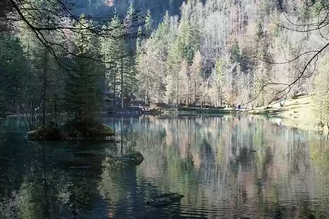 Free download Blausee Bernese Oberland -  free photo or picture to be edited with GIMP online image editor