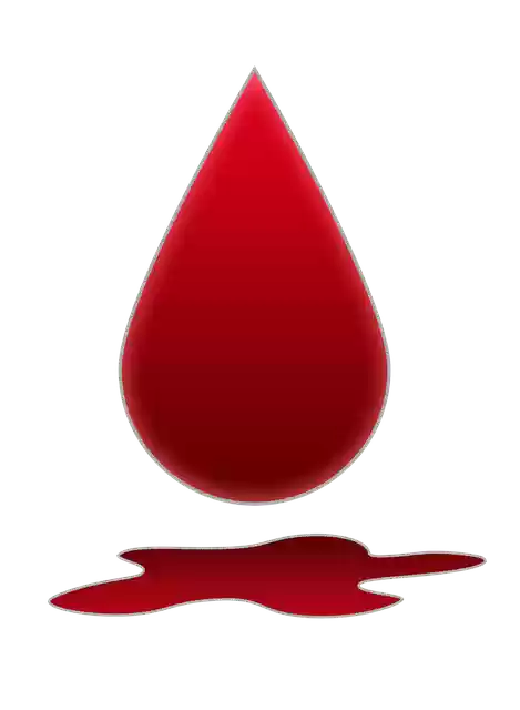 Free download Blood Bloodstain A Pool Of -  free illustration to be edited with GIMP free online image editor